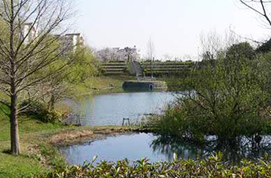 自然を活かし、魅力的な景観を形成のサムネイル